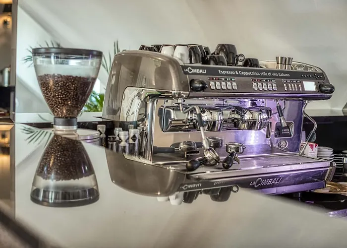 Bialy Dom 3* Rybnik (Silesia)